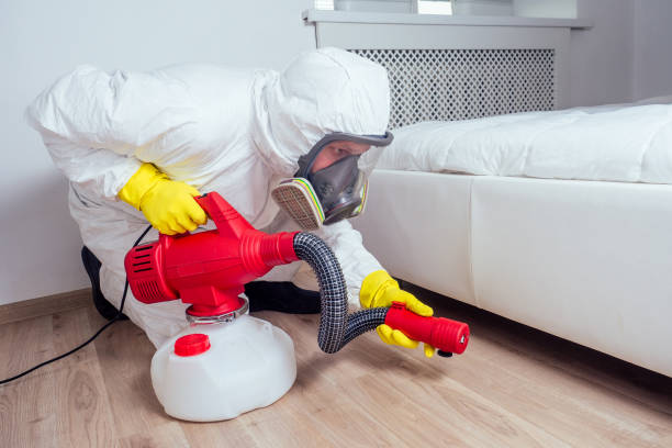 Best Best Pest Control Companies  in Romney, WV